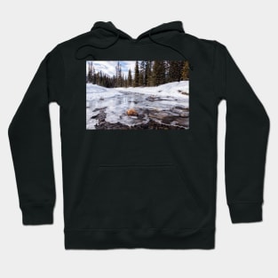 On Thin Ice Hoodie